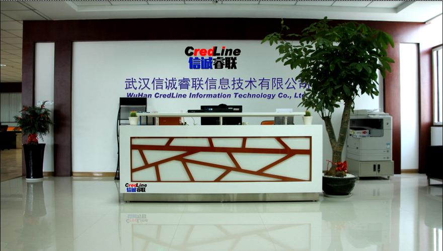武汉信诚睿联信息技术 赋能企业数字化，深耕网络技术服务